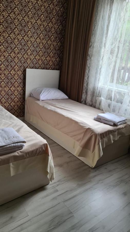 Кольсайские Озера, Гостиница Айару Kurmenty Buitenkant foto